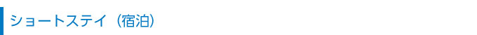 ショートステイ(宿泊)